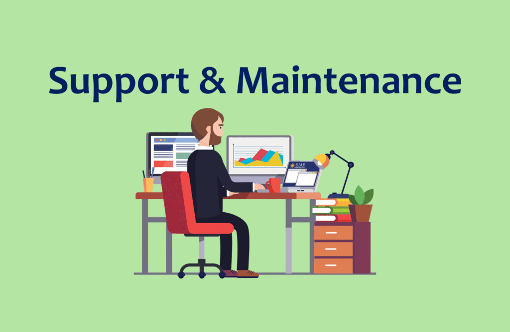 Ongoing Support & Maintenance